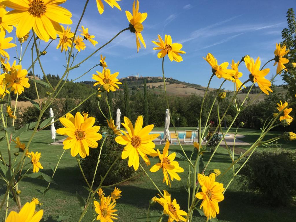 Agriturismo Marinello Pienza Dış mekan fotoğraf